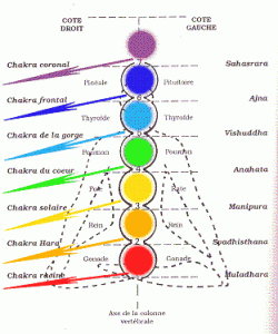 chakras-couleur-fleches